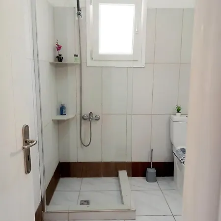 4t